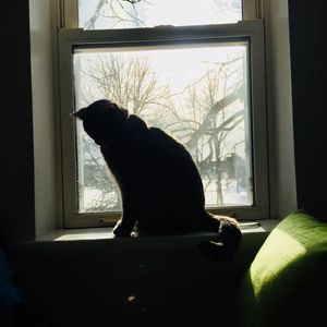 Meet your Posher, Fiona